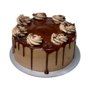 Chocolate Bibi 8"