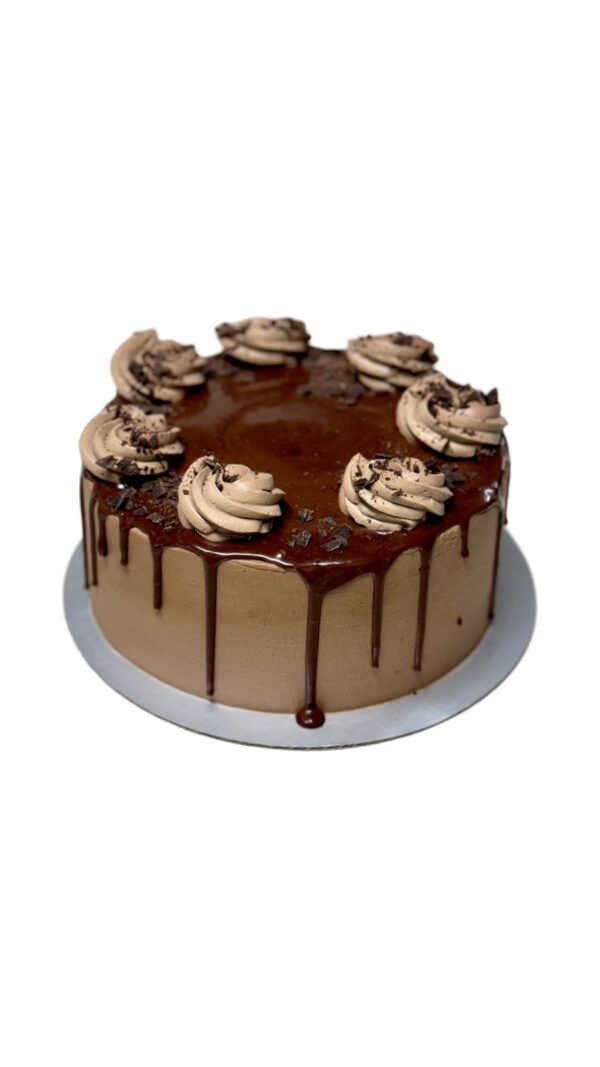 Chocolate Bibi 8"